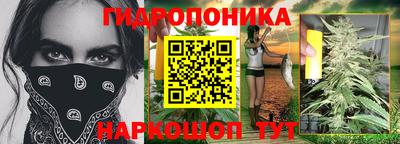 молекула духа Новокубанск